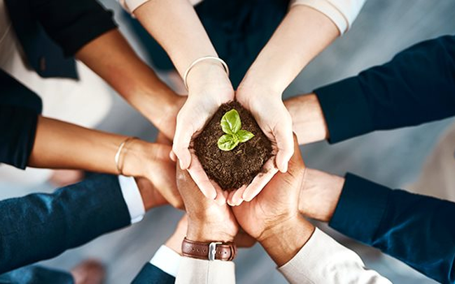 Các công tác an sinh xã hội đặc trưng